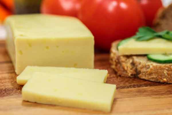 vegan-sajt